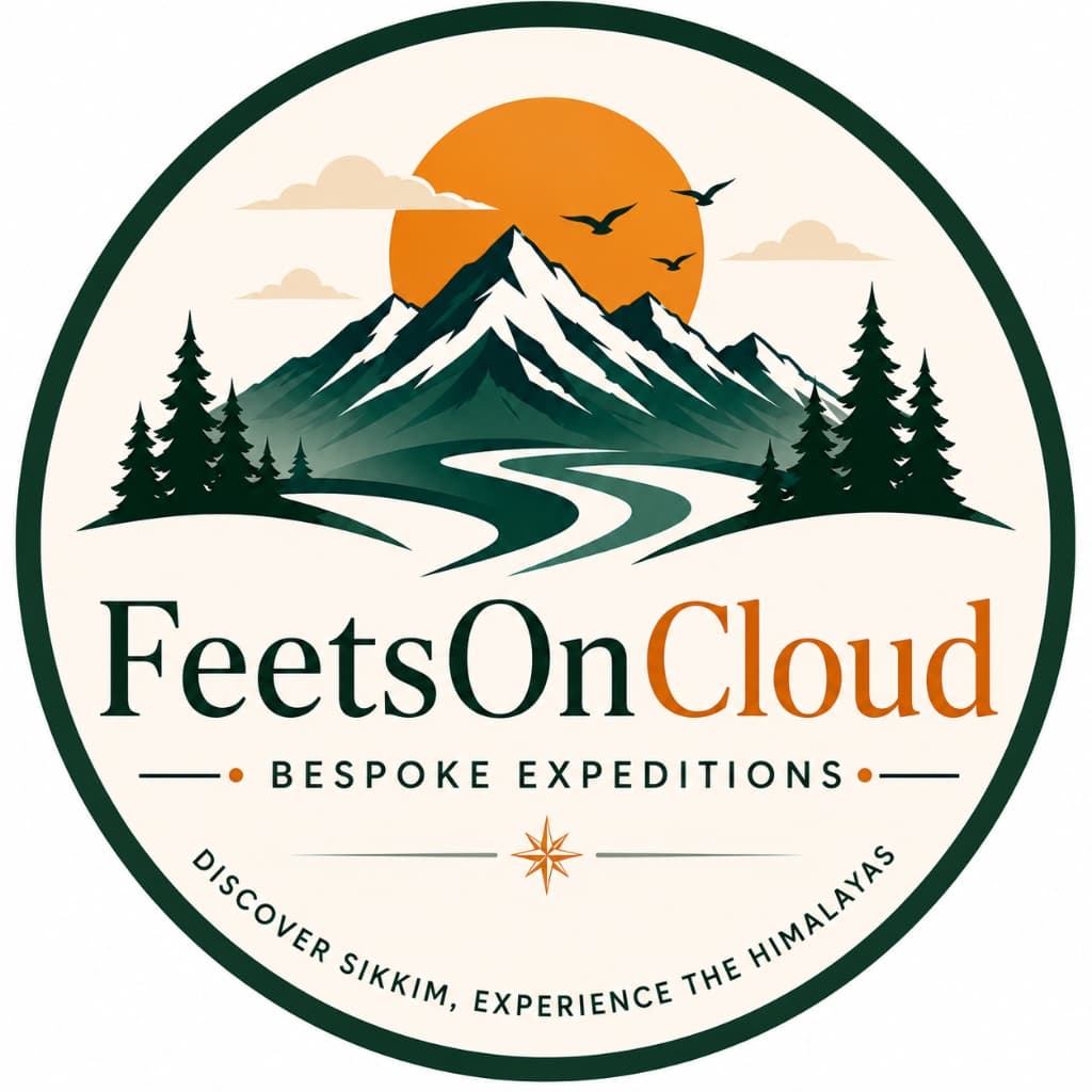FeetsOnCloud Logo